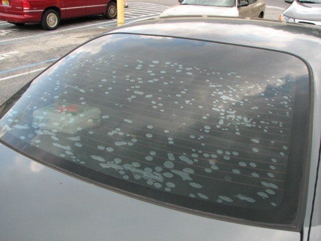 Low Quality Window Film
